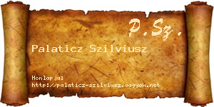 Palaticz Szilviusz névjegykártya